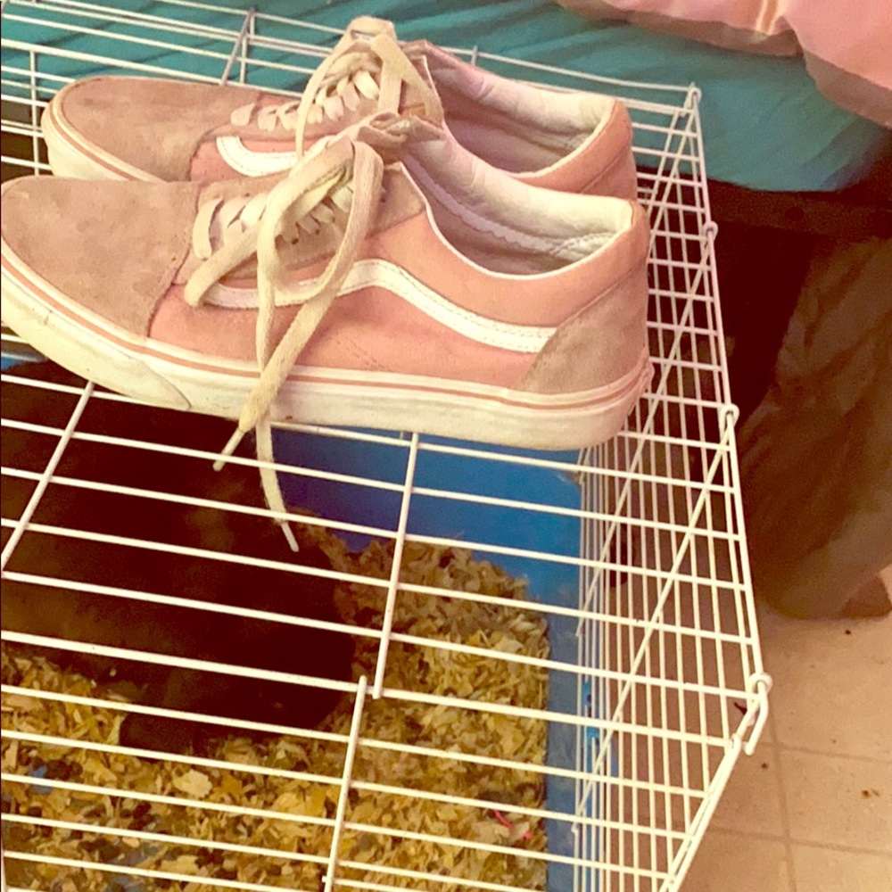 Baby pink Low top vans